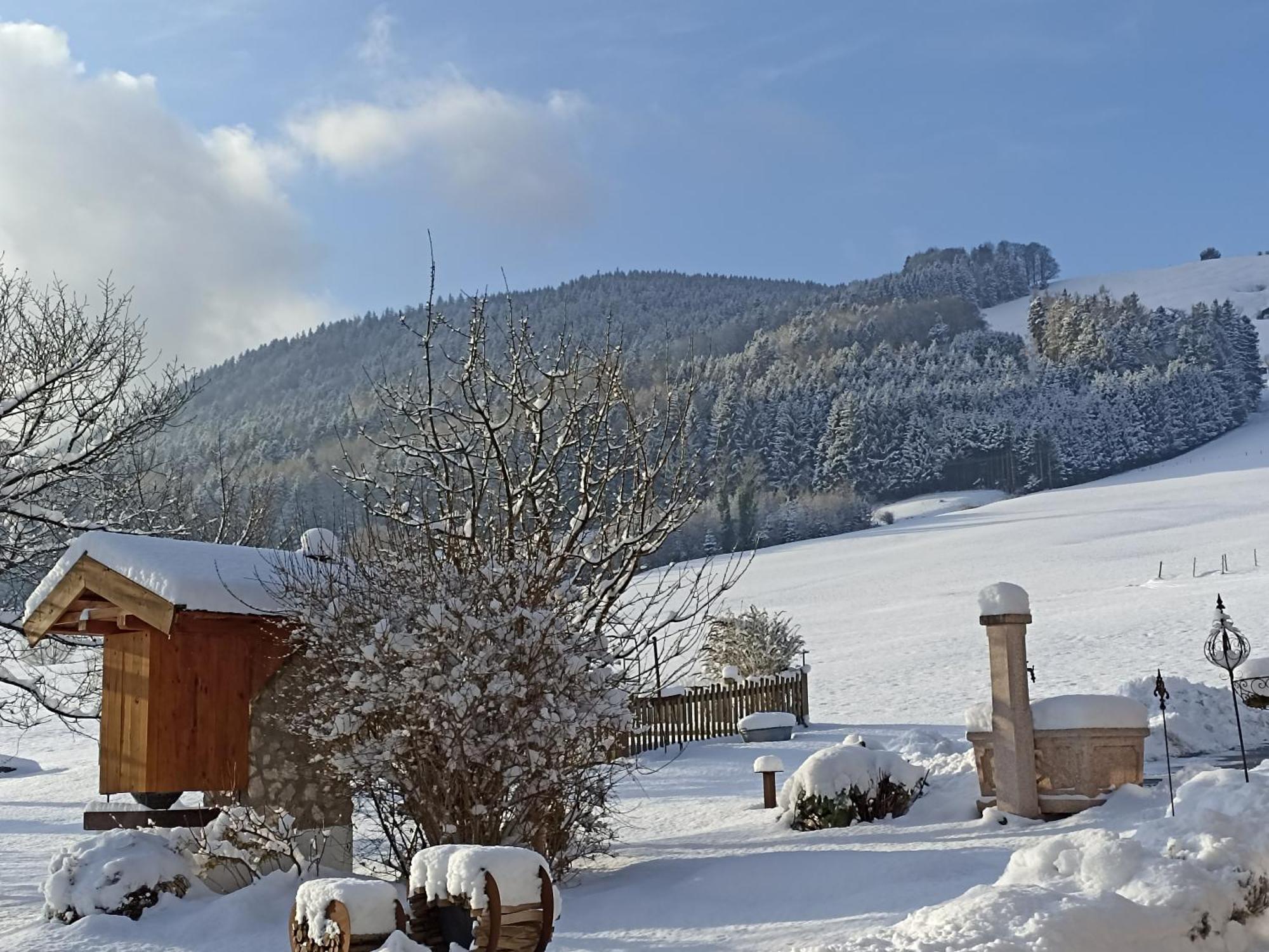 Landhaus Kamml อังกา ภายนอก รูปภาพ